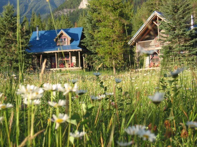 Nipika Mountain Resort Radium Hot Springs Eksteriør bilde